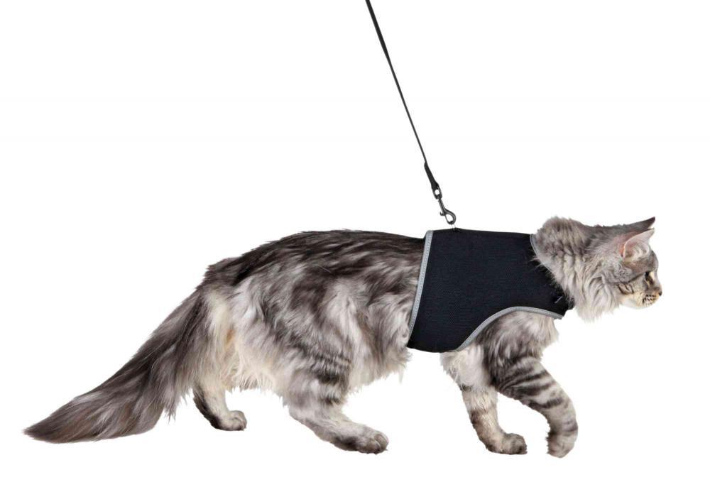 Trixie Cat Soft Harness with Leash м'яка шлея з повідцем для котів 36-54 см (41895)